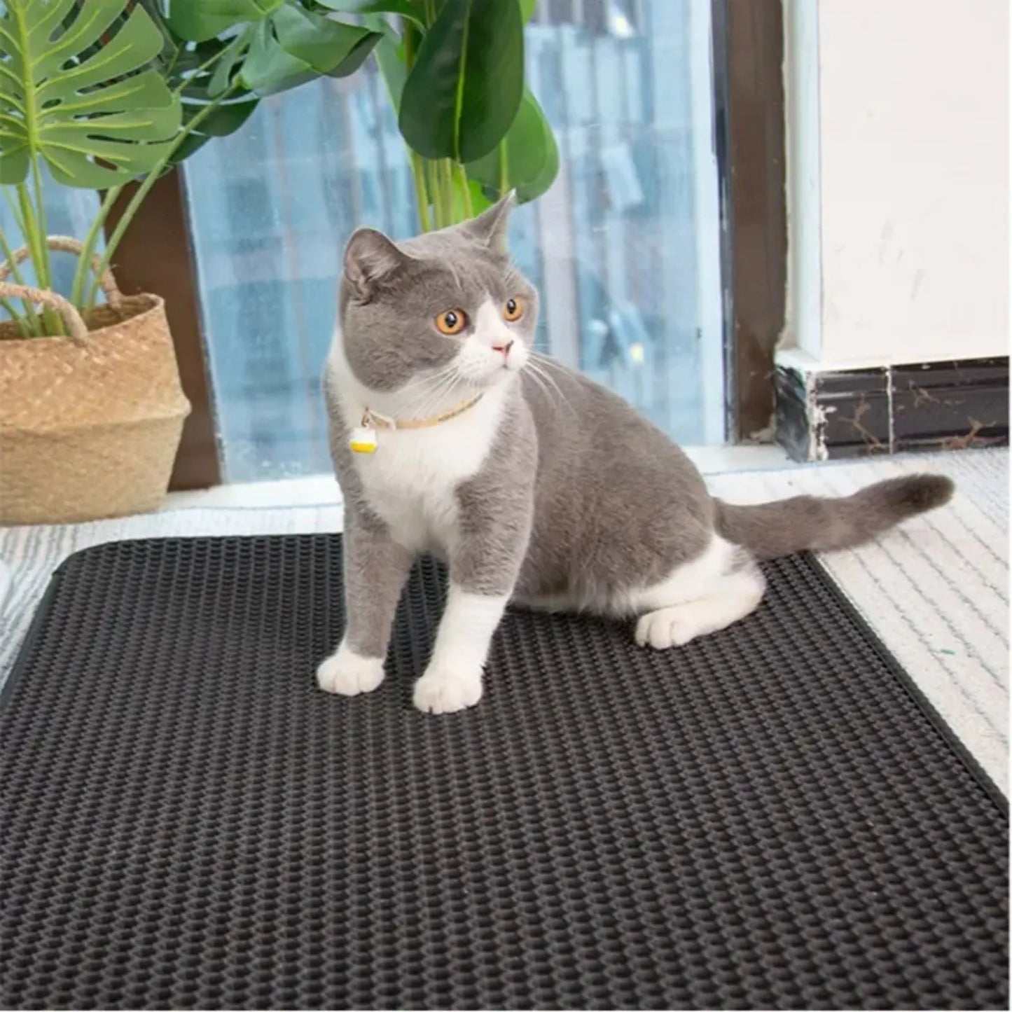 Tapete Coletor de Areia CleanPaws - Camada Dupla