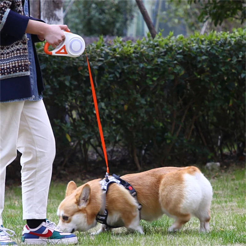 Guia de Segurança NightWalk LED